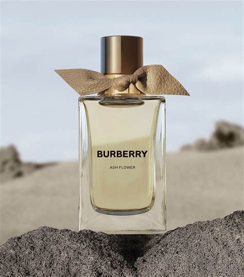 burberry perfume 2023|Burberry ash flower.